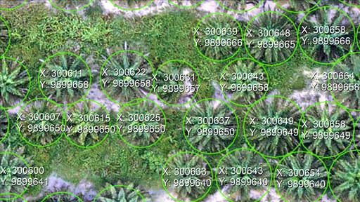Lokasi Geografis