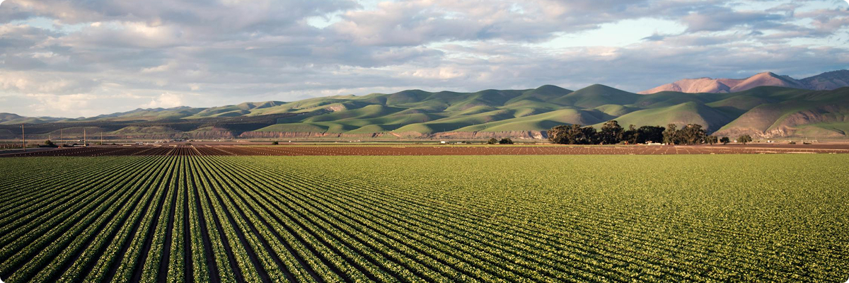 Smart Agriculture