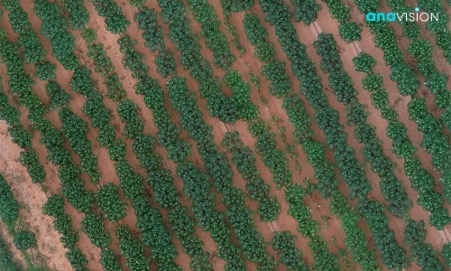Aerial Image Captured With High Resolution