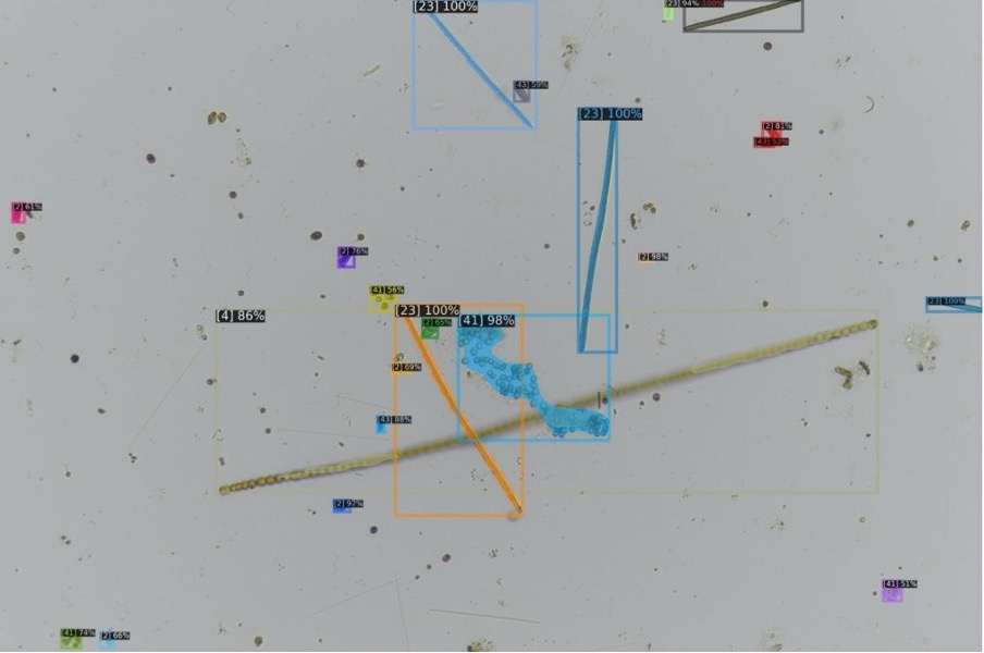 An Example Of A Visualised Algae Detection Result