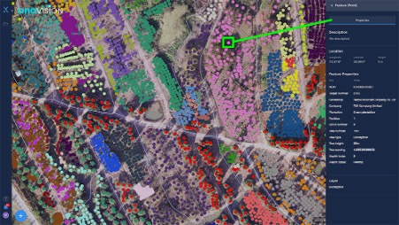 Different Tree Species Could Be Detected, Identified And Displayed In Gis Platform For Easy Visualization