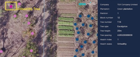 Health Condition Monitoring For Individual Tree