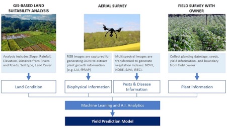 How The Yield Prediction Model Is Built