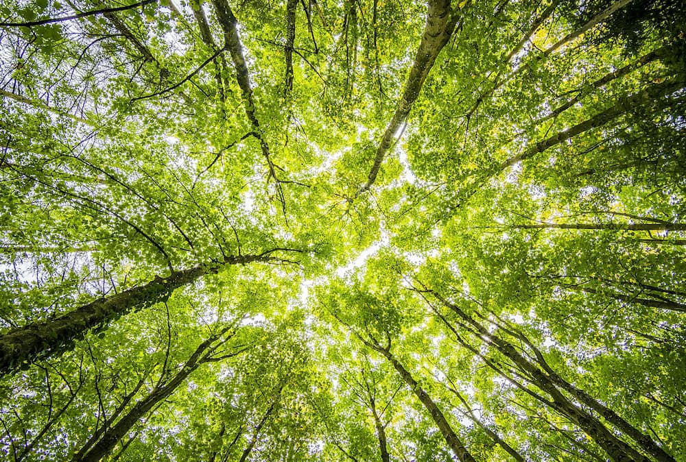 Smart Environment
